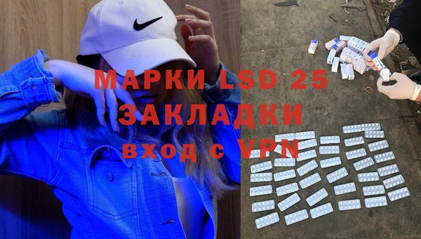 a pvp Новозыбков