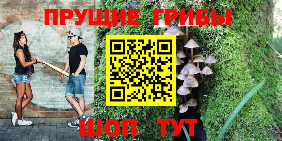Галлюциногенные грибы Cubensis Каменск-Шахтинский